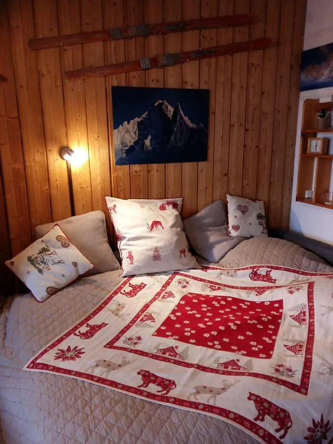Large Studio In The Center Of Chamonix Apartment