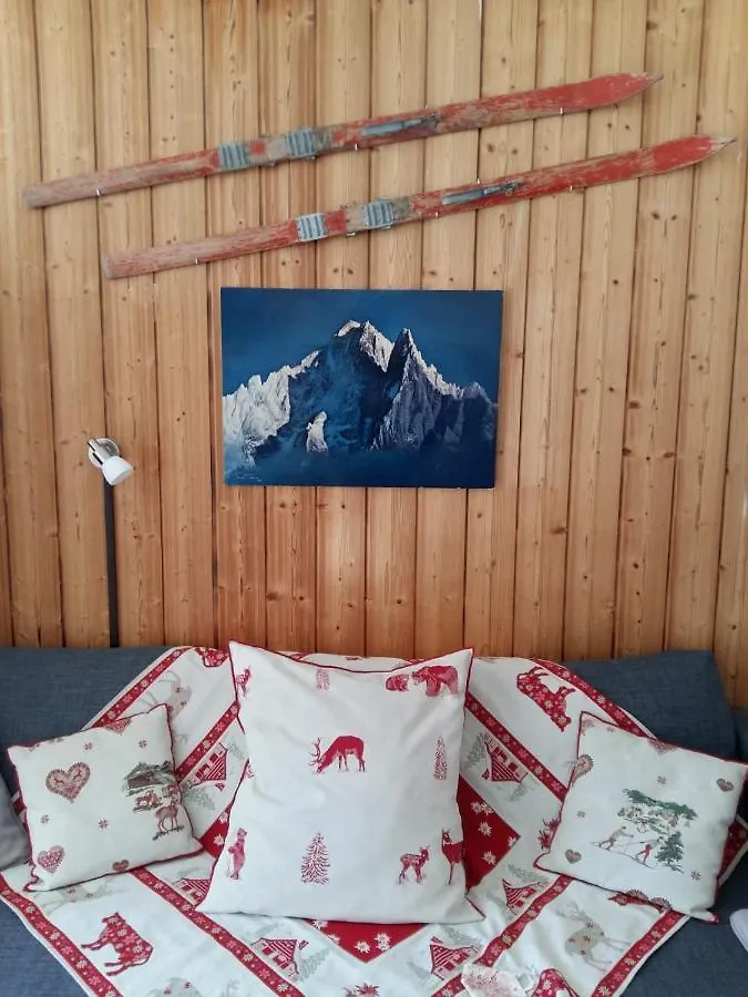 Large Studio In The Center Of Chamonix Apartment