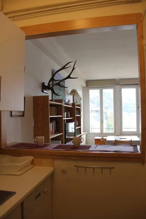 Large Studio In The Center Of Chamonix Apartment 0*,